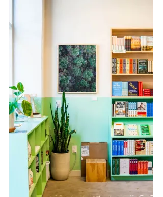 Zielone sukulenty - plakat