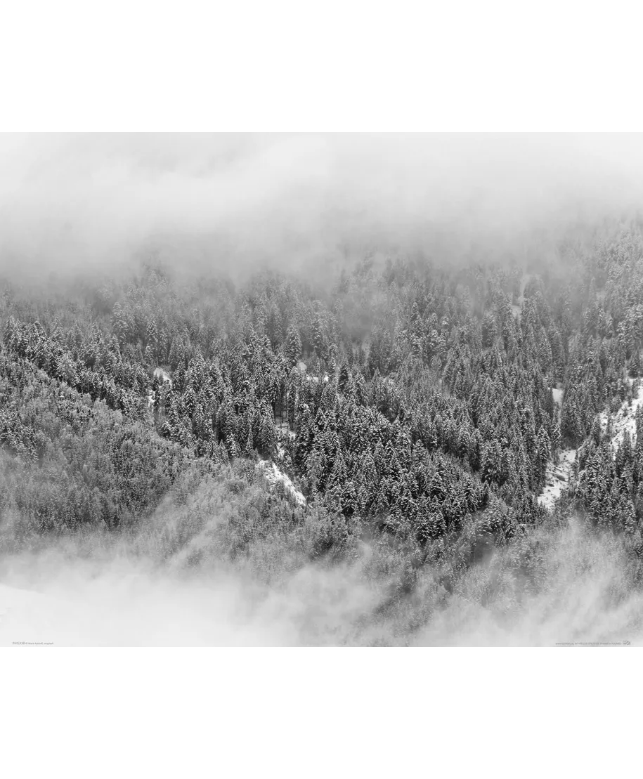 Altenmarkt im Pongau - plakat