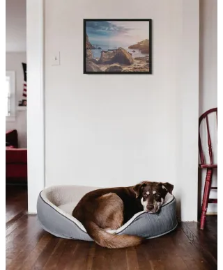 Newport Beach - plakat