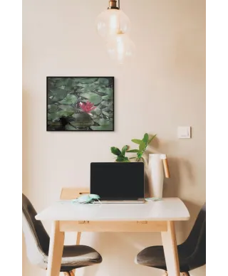 Lilia Wodna - plakat