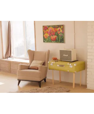 Kolorowe Tulipany - plakat