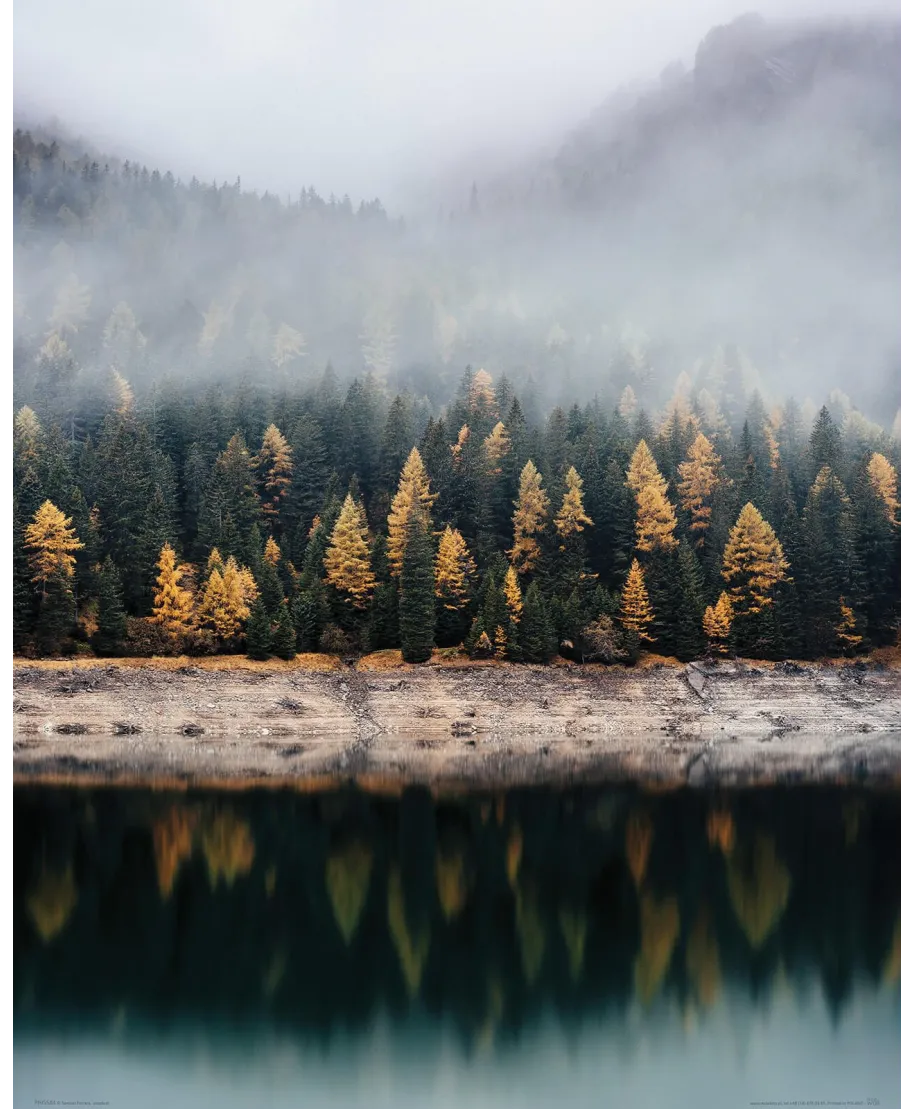 Mglista jesień - plakat