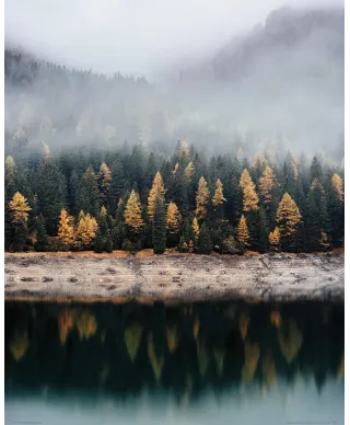 Mglista jesień - plakat