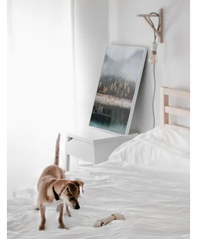 Mglista jesień - plakat