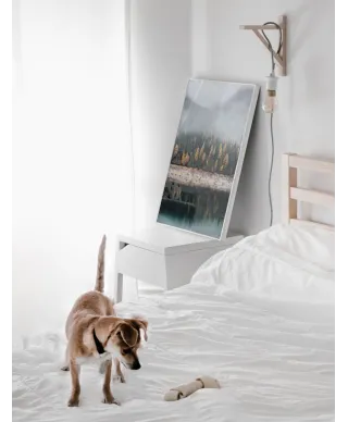 Mglista jesień - plakat