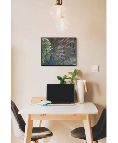 Paw Indyjski - plakat