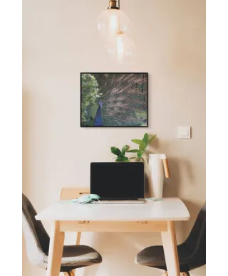 Paw Indyjski - plakat