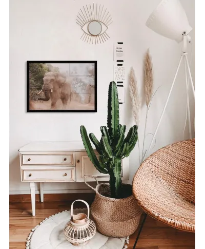 Słoń afrykański - plakat