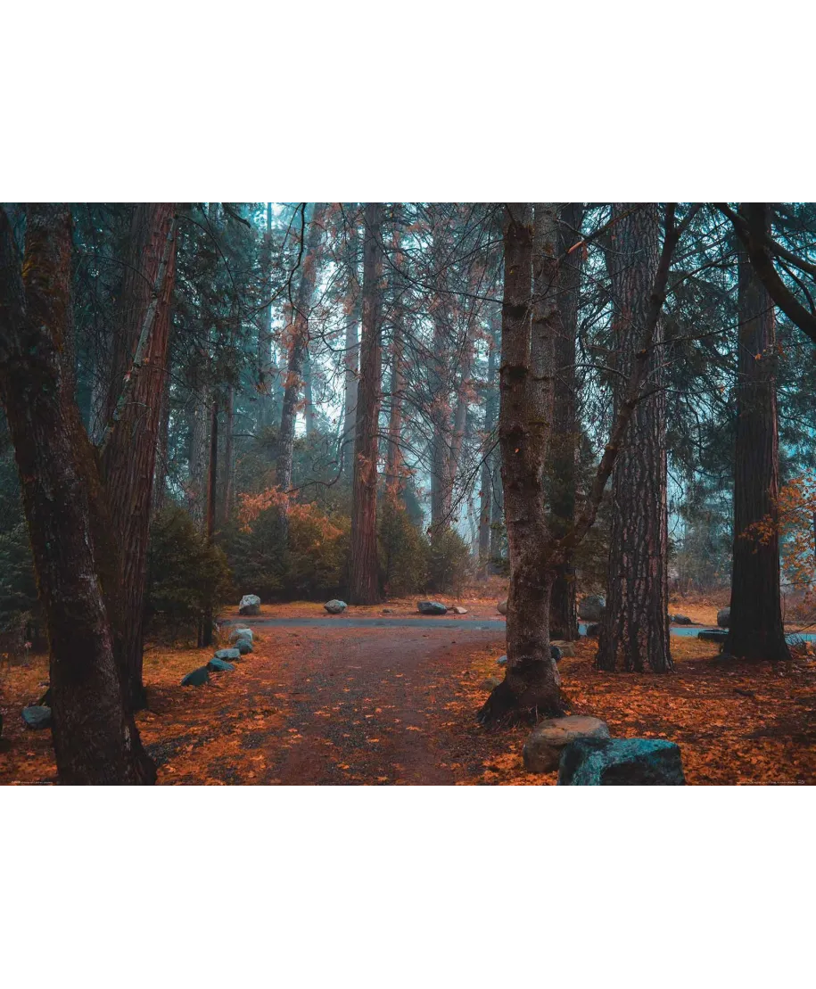 Jesienny Park - plakat