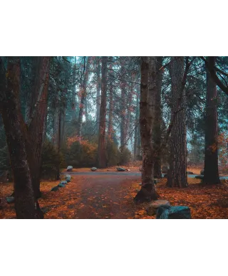 Jesienny Park - plakat