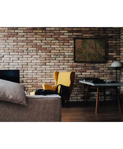 Barwy Natury - plakat