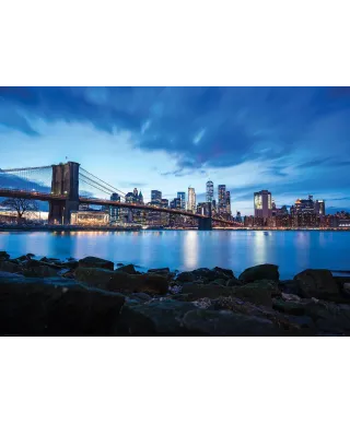 Widok na Nowy Jork - plakat