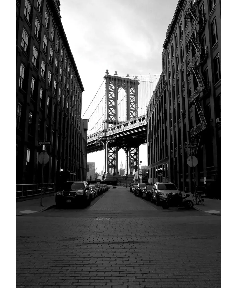 Czarno-biały Brooklyn - plakat