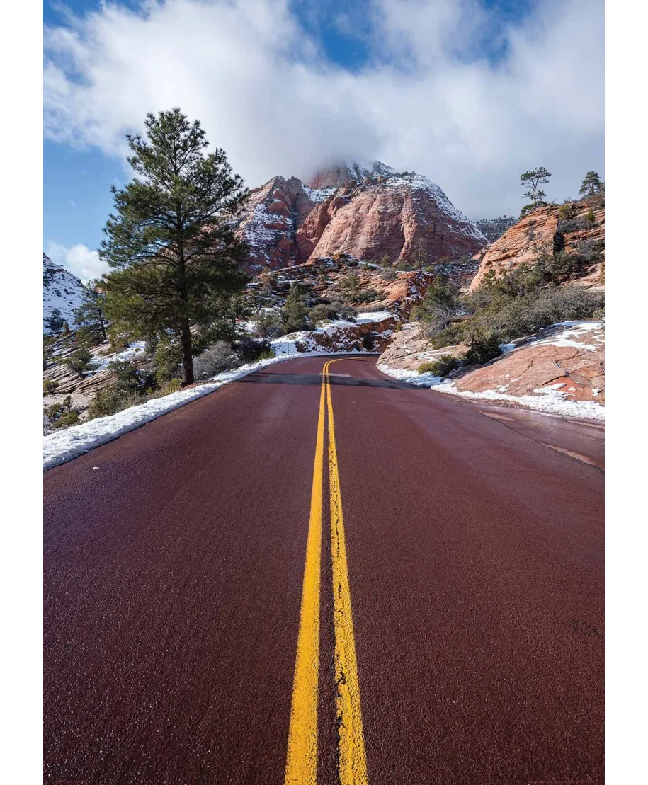 Park Narodowy Zion - plakat
