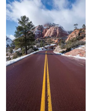 Park Narodowy Zion - plakat