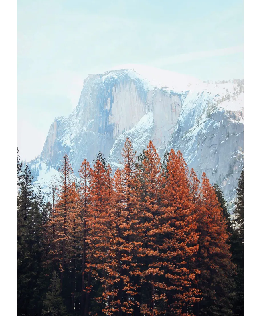 Skalista Góra - plakat