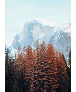 Skalista Góra - plakat