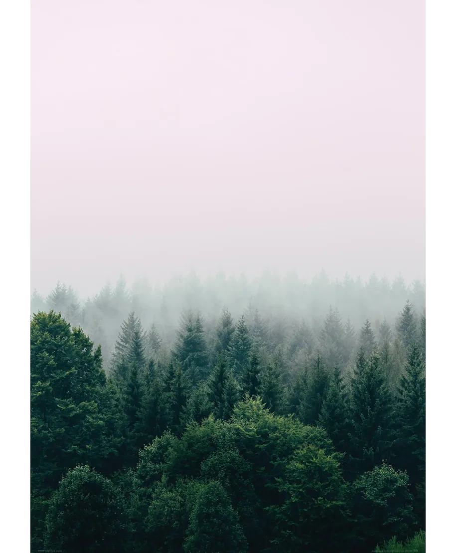 Zielony Las - plakat