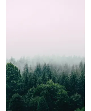 Zielony Las - plakat