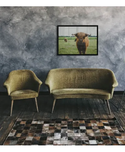 Szkocka Krowa - plakat