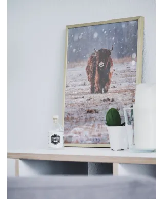 Bizon w śniegu - plakat