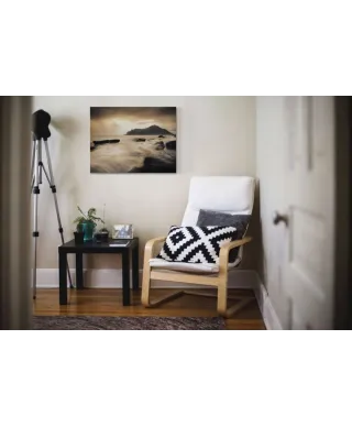 Sepia Sea, Lofoten Islands - Obraz na płótnie