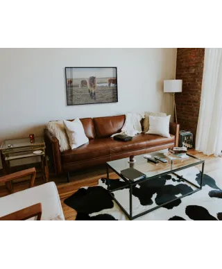 Stado Kucyków - plakat