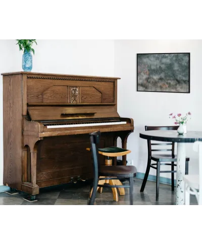 Zamglone drzewa - plakat