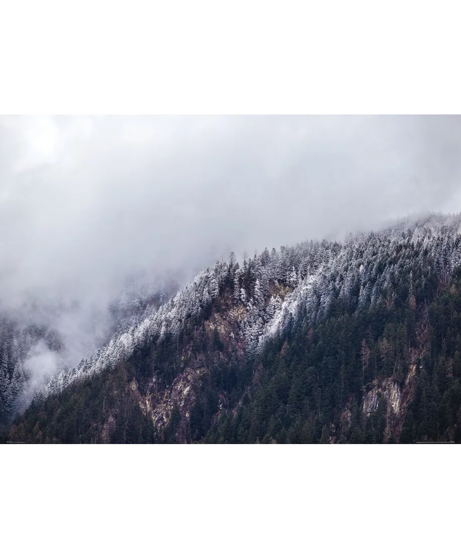 Zamglone Wzgórza - plakat