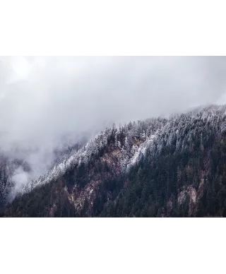 Zamglone Wzgórza - plakat