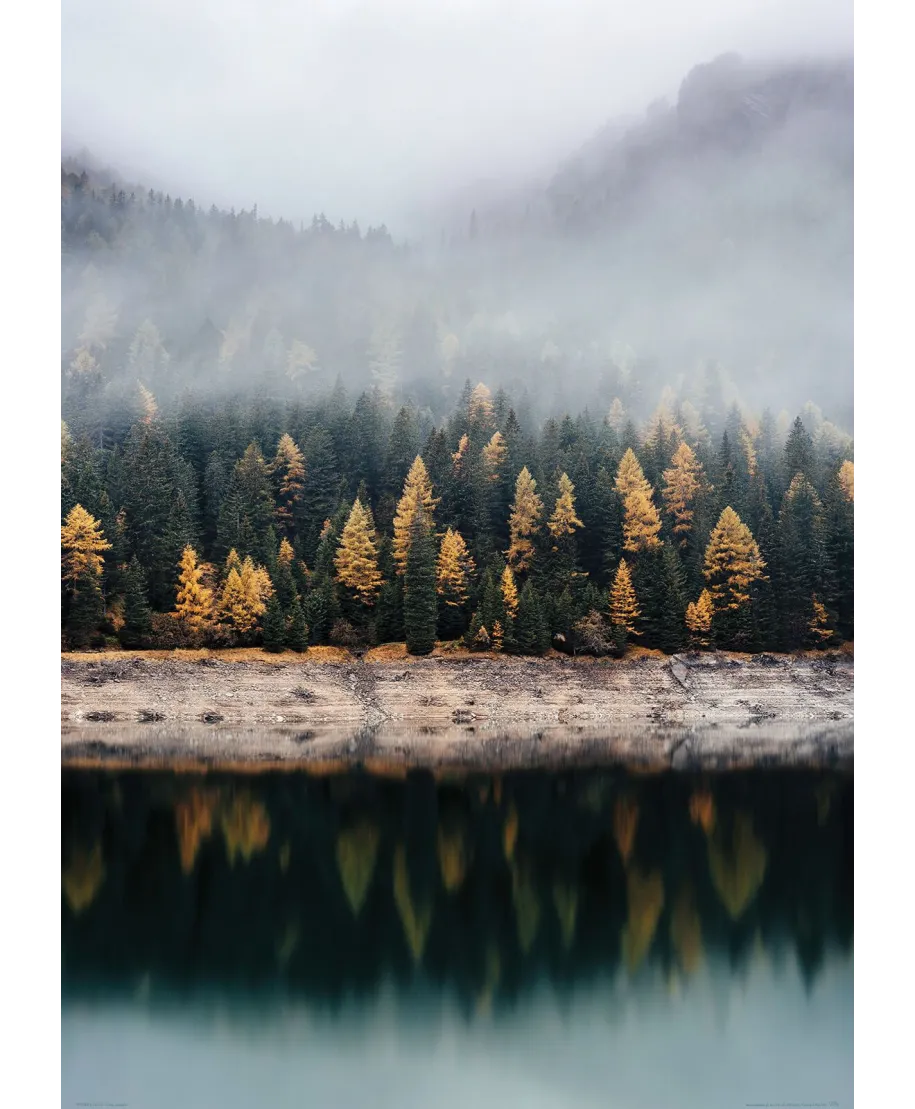 Mglista jesień - plakat