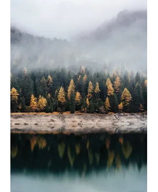 Mglista jesień - plakat