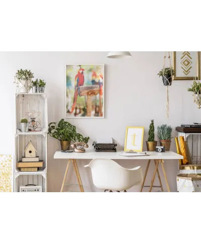 Czerwona Papuga - plakat