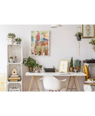 Czerwona Papuga - plakat