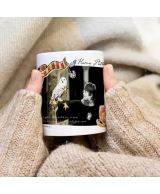 Harry Potter and Hedwiga - kubek