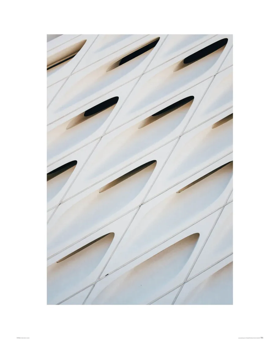 The Broad Museum - reprodukcja