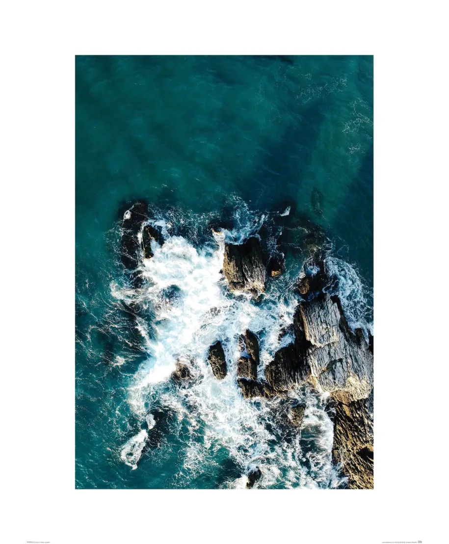 Fale na wybrzeżu - reprodukcja