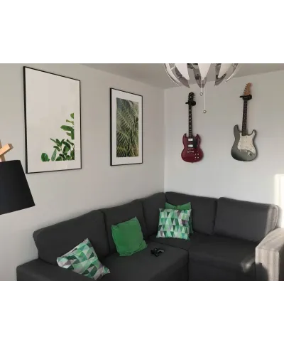 Zielone Listki - reprodukcja