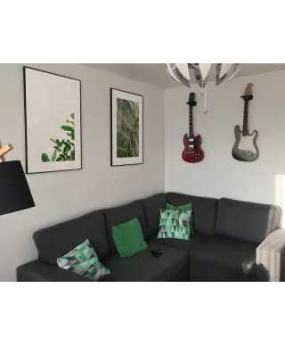 Zielone Listki - reprodukcja