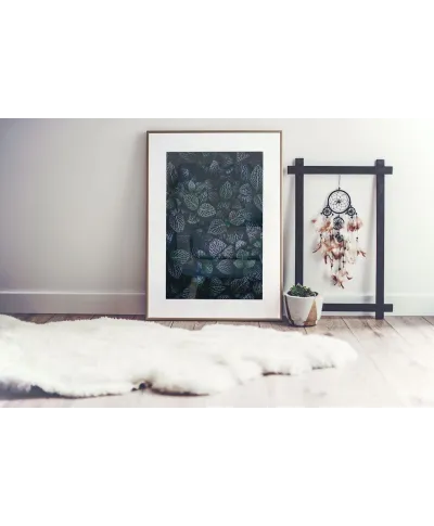 Liście Fitonii - reprodukcja