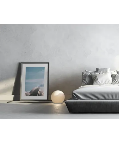 Opera House - reprodukcja