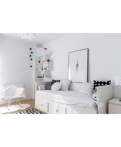 Empire State Building we mgle - reprodukcja