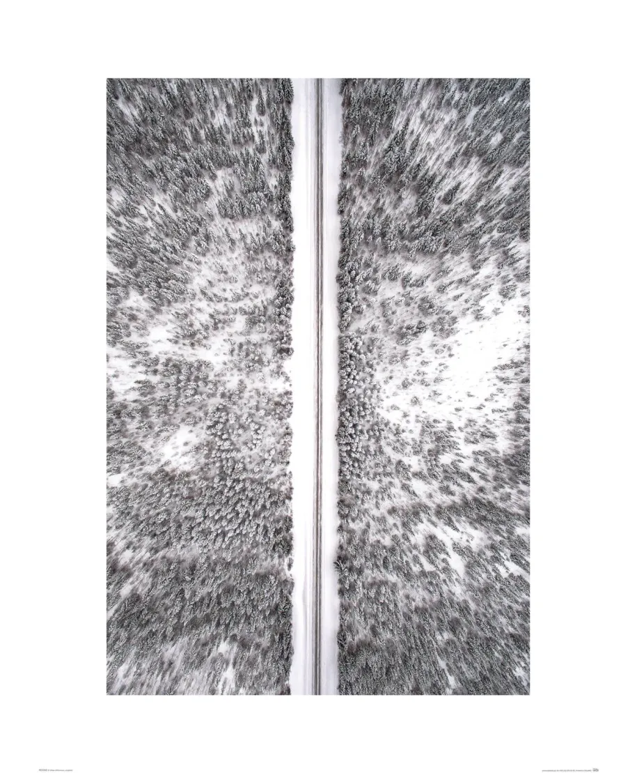 Zimowa droga - reprodukcja