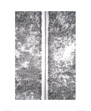 Zimowa droga - reprodukcja