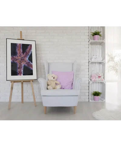 Rozgwiazda - reprodukcja