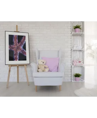 Rozgwiazda - reprodukcja