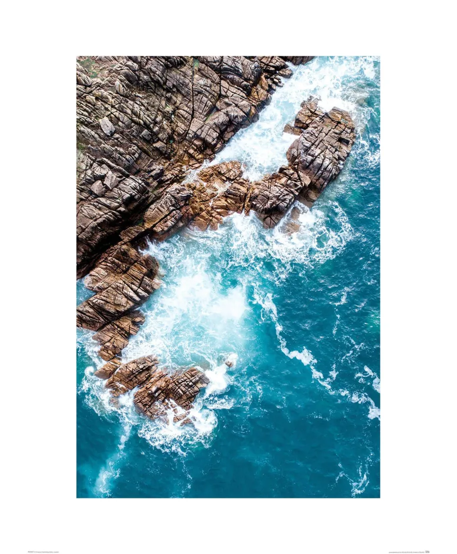 Błękitne Fale - reprodukcja