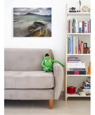 Harris from Taransay, Outer Hebrides - Obraz na płótnie