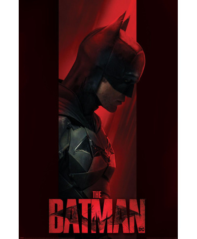 The Batman Out Of The Shadows - plakat