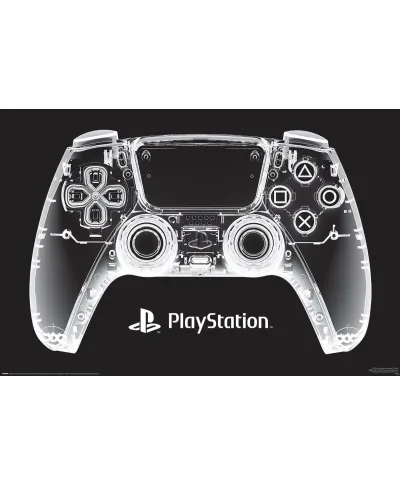 Playstation X-Ray Pad - plakat